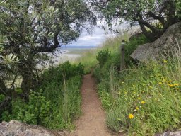 Flora del Cerro Masatrigo